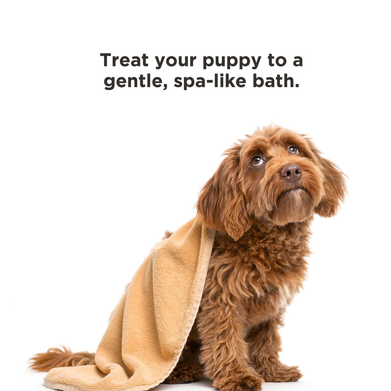 BioSilk For Dogs Puppy Tearless Shampoo, , large image number null